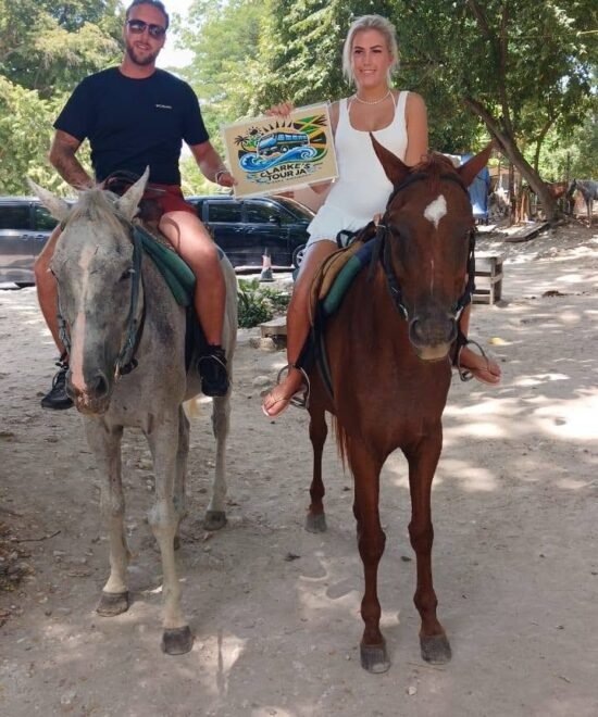 Clarkes Tours Jamaica (4)